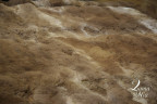Ковер из меха альпаки коричневый однотонный с окантовкой 2,80 х 2,40 м