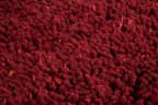 Ковёр Shaggy Стебли Аканта красный, длинноворсовый (1,90 x 2,80 м)
