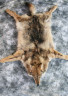 Шкура серой волчицы натуральная 1,25 м, Россия 
