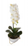 Орхидея белая в горшке 46 см